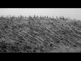 prehistoric disasters 5 survival of the earth