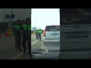 the cattle on escalete as a result cried police accidents dvr accident - [ w summit w ]