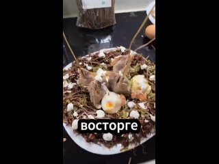 video from @videfunny | @videfunny