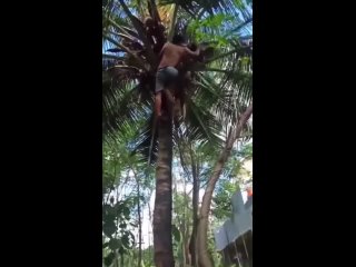 what is happening there | @videfunny