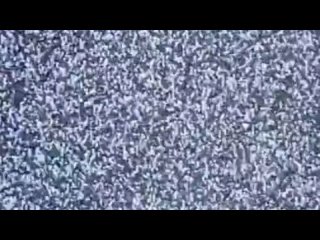 video from pro humor / bayan | @videfunny