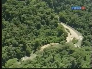 the wildlife of venezuela 5. strategies for survival in nature. 1
