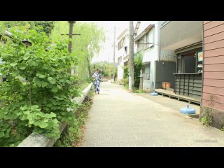 aipi-0018 hhb-52iv.net